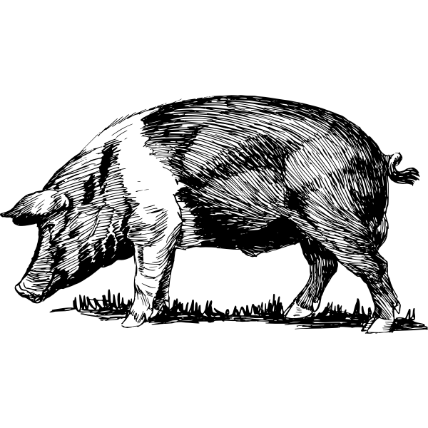 prasatko